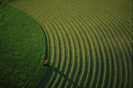 2013 was a multimillion-dollar year for leading Israeli agritech and medtech startups