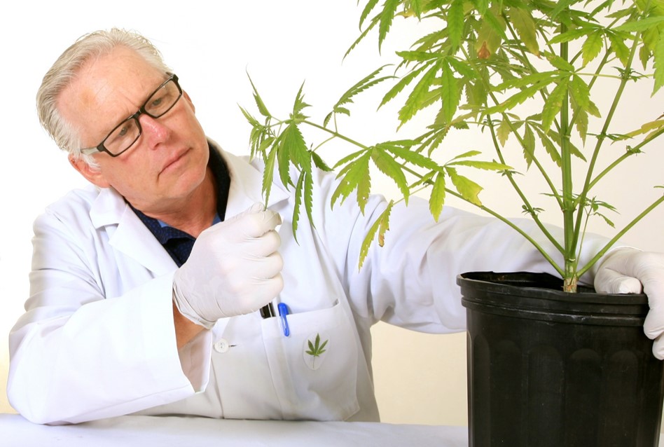 Medical Marijuana: Clearing the smoke on a miracle drug